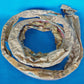 OEM NEW 1988 1991 FORD TEMPO 1984 1991 MERC TOPAZ REAR IMPACT STRIP E66Y-17C830A